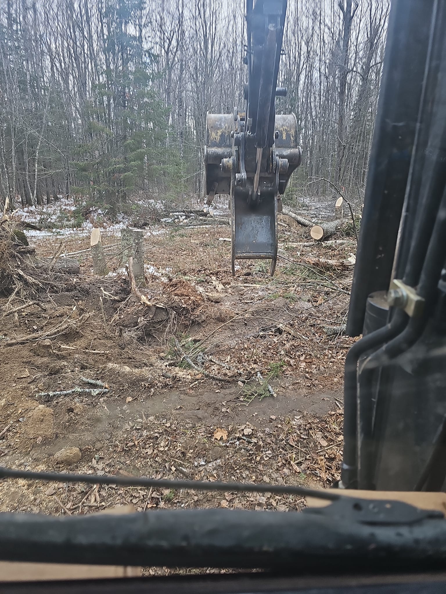 Inside view of removing trees