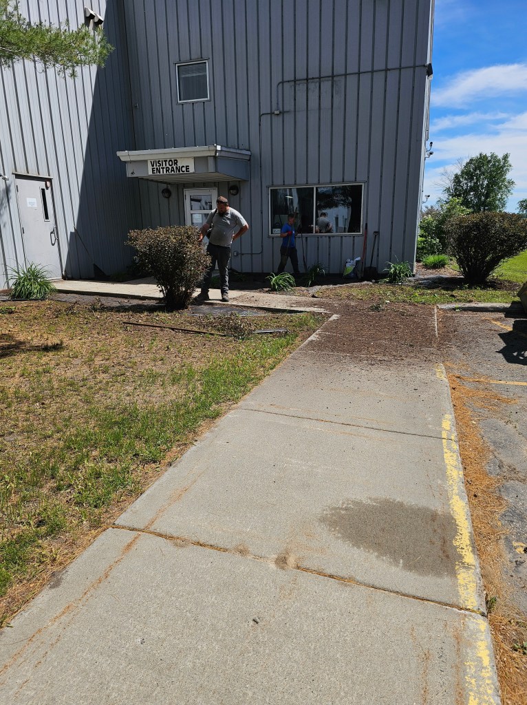 Landscaping - Before