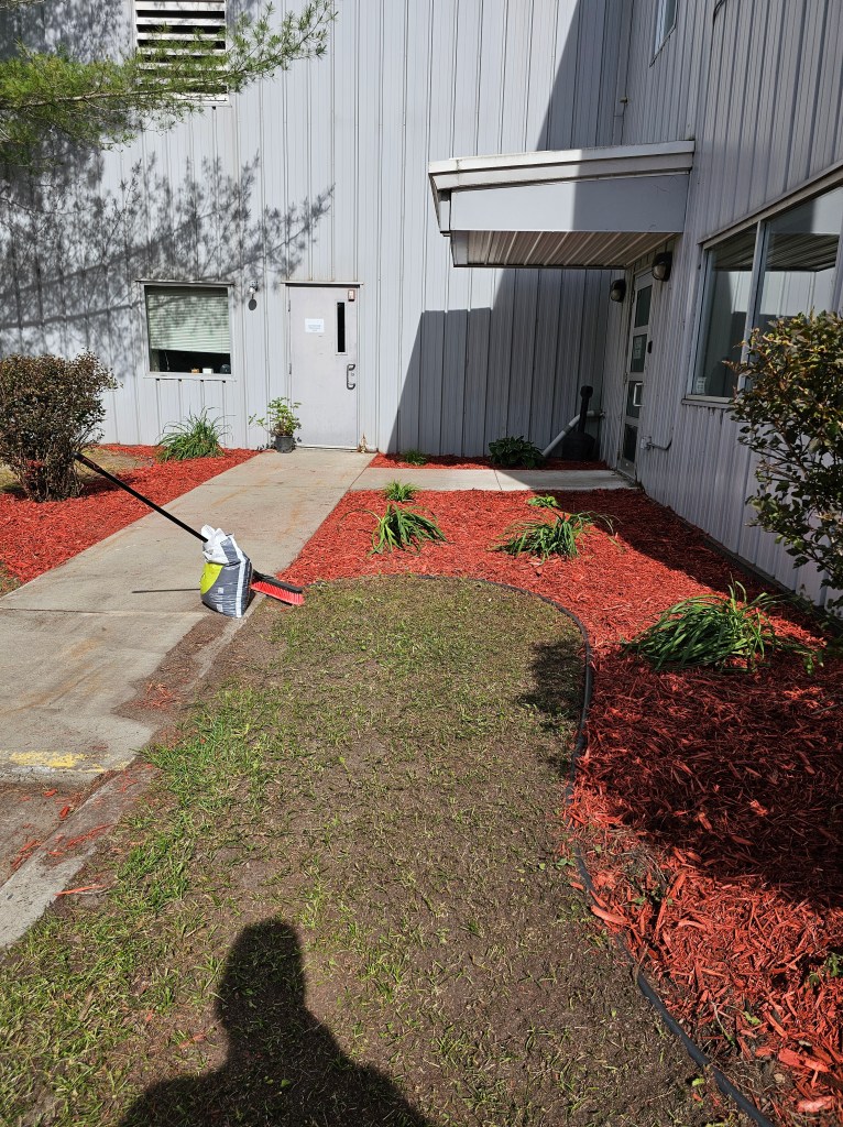 Landscaping - After pic