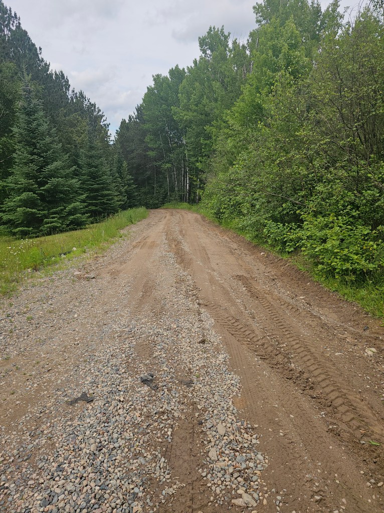 Driveway - Before pic